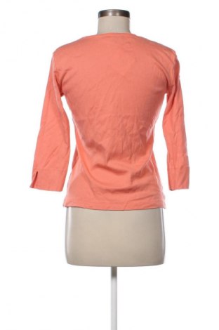 Γυναικεία μπλούζα Armor-Lux, Μέγεθος M, Χρώμα Πολύχρωμο, Τιμή 3,99 €