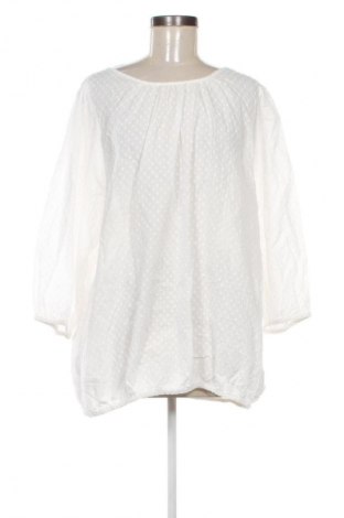 Damen Shirt Baum Und Pferdgarten, Größe XXS, Farbe Mehrfarbig, Preis 22,99 €