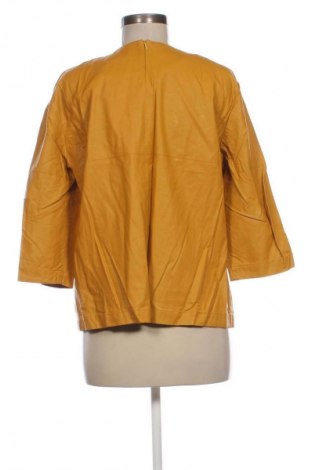 Dámska blúza Danini, Veľkosť XXL, Farba Oranžová, Cena  6,95 €