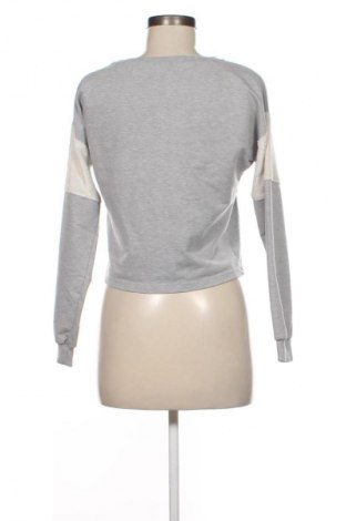 Damen Shirt Hdm, Größe S, Farbe Grau, Preis 1,99 €