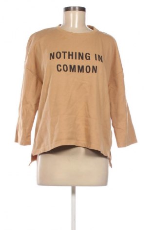 Damen Shirt Mango, Größe M, Farbe Braun, Preis 2,99 €