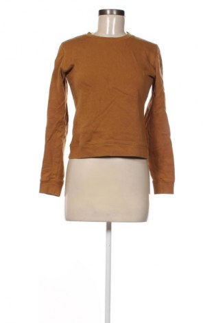Γυναικεία μπλούζα Marc O'Polo, Μέγεθος XS, Χρώμα Καφέ, Τιμή 1,99 €
