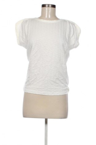 Damen Shirt Sessun, Größe S, Farbe Ecru, Preis 39,99 €