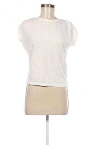 Damen Shirt Sessun, Größe S, Farbe Ecru, Preis 41,99 €