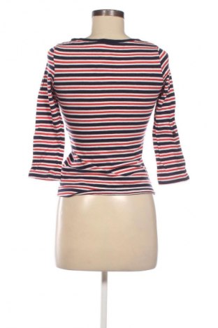 Damen Shirt Terranova, Größe XS, Farbe Mehrfarbig, Preis € 1,99