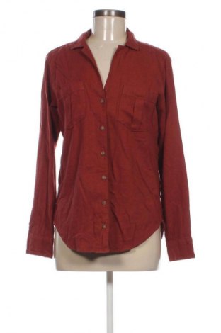 Damenbluse Abercrombie & Fitch, Größe S, Farbe Braun, Preis € 3,99