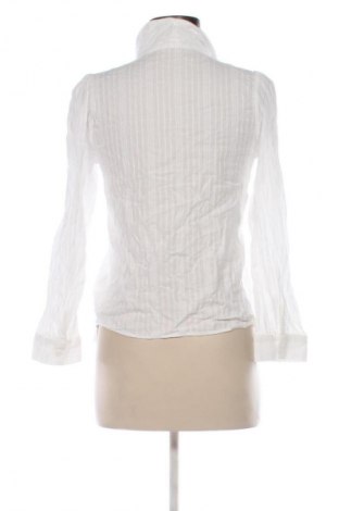 Damska koszula DAZY, Rozmiar L, Kolor Biały, Cena 21,99 zł