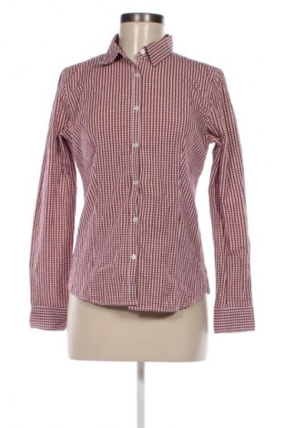 Damenbluse Montego, Größe M, Farbe Mehrfarbig, Preis 3,99 €