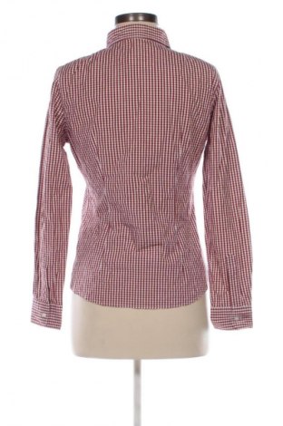 Damenbluse Montego, Größe M, Farbe Mehrfarbig, Preis 3,99 €