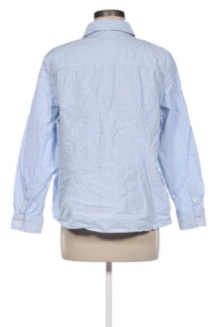 Damenbluse Montego, Größe XXL, Farbe Mehrfarbig, Preis 12,43 €