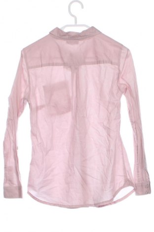 Damenbluse Street One, Größe XS, Farbe Rosa, Preis 3,99 €
