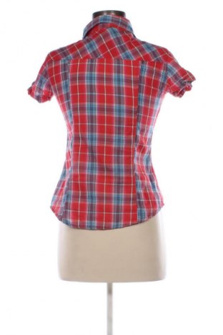 Damenbluse Terranova, Größe S, Farbe Mehrfarbig, Preis 8,99 €