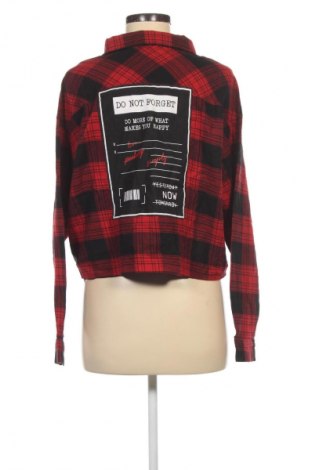 Damenbluse Terranova, Größe L, Farbe Mehrfarbig, Preis 2,99 €