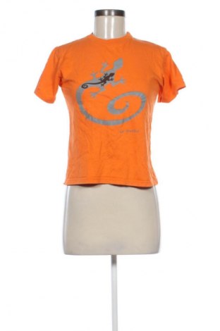 Dámské tričko Unbranded, Velikost XL, Barva Vícebarevné, Cena  89,00 Kč