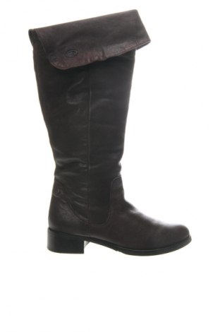 Damskie kozaki Tom Tailor, Rozmiar 39, Kolor Brązowy, Cena 264,99 zł