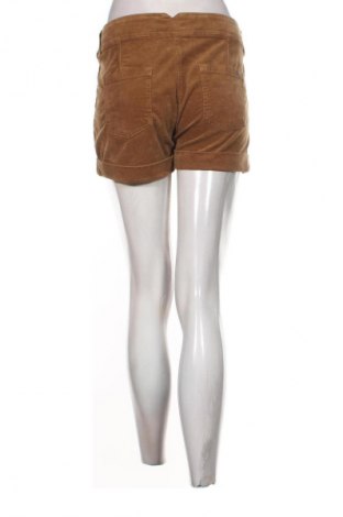 Damen Shorts Q/S by S.Oliver, Größe XL, Farbe Braun, Preis 1,99 €