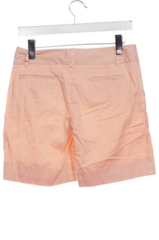 Damen Shorts Zara, Größe M, Farbe Mehrfarbig, Preis 10,30 €