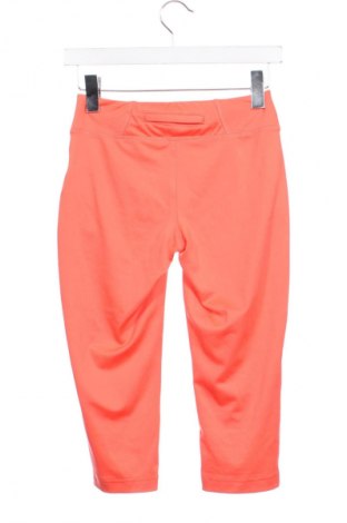 Dámské legíny  Cite, Velikost XS, Barva Oranžová, Cena  145,00 Kč