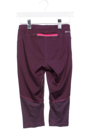 Damen Leggings Pro Touch, Größe XS, Farbe Lila, Preis € 2,99