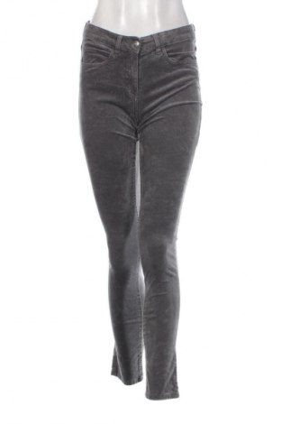 Damenhose Blue Motion, Größe S, Farbe Grau, Preis 1,99 €