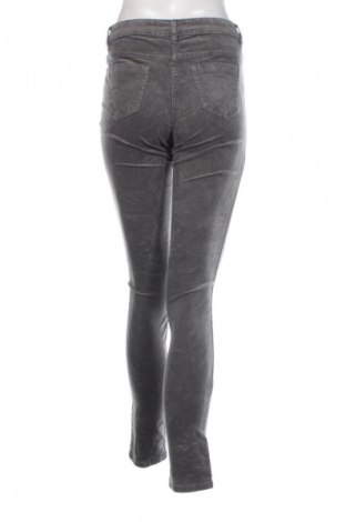 Damenhose Blue Motion, Größe S, Farbe Grau, Preis 1,99 €