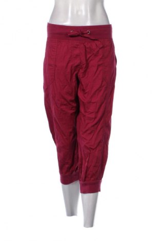 Damenhose Gina Benotti, Größe XXL, Farbe Rosa, Preis 5,99 €