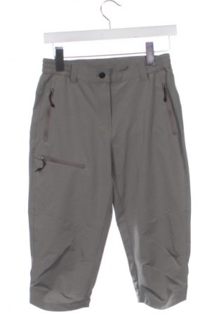 Damenhose Icepeak, Größe XS, Farbe Grau, Preis 24,99 €