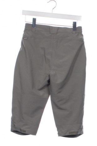 Damenhose Icepeak, Größe XS, Farbe Grau, Preis 24,99 €