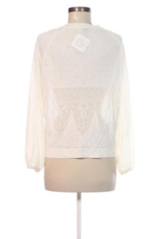 Damenpullover Stefanel, Größe S, Farbe Ecru, Preis 62,99 €