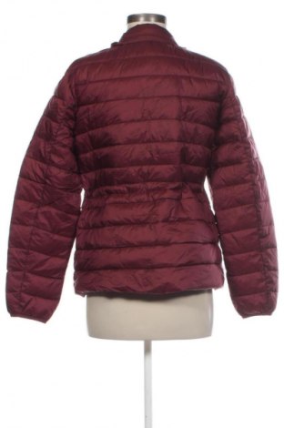 Damenjacke Esprit, Größe M, Farbe Rot, Preis 21,99 €