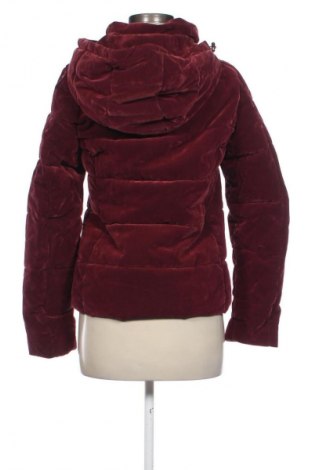 Dámska bunda  Miss Etam, Veľkosť S, Farba Červená, Cena  17,95 €