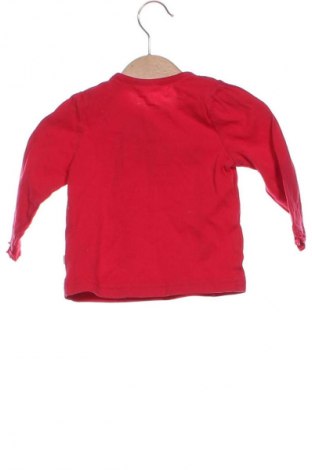 Detská blúzka  Liegelind, Veľkosť 6-9m/ 68-74 cm, Farba Červená, Cena  1,95 €