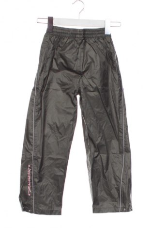 Kinderhose Alive, Größe 3-6m/ 62-68 cm, Farbe Grün, Preis 1,99 €