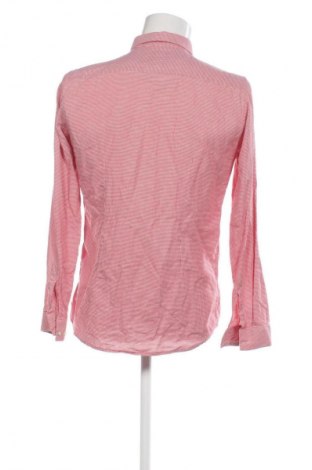 Męska koszula Strenesse, Rozmiar M, Kolor Kolorowy, Cena 37,94 zł