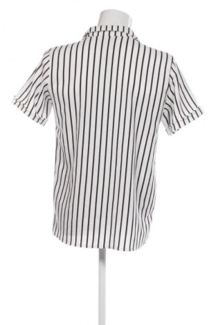 Pánská košile  Unbranded, Velikost XL, Barva Vícebarevné, Cena  185,00 Kč