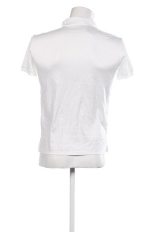 Męski T-shirt Polo, Rozmiar S, Kolor ecru, Cena 719,99 zł