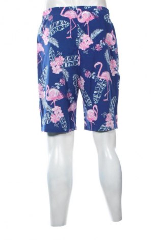 Pánské kraťasy Unbranded, Velikost M, Barva Vícebarevné, Cena  399,00 Kč