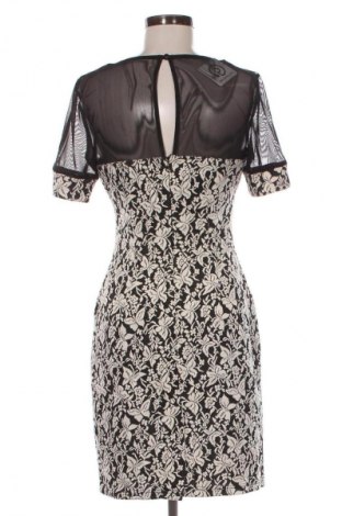 Kleid Envy, Größe L, Farbe Mehrfarbig, Preis 29,02 €