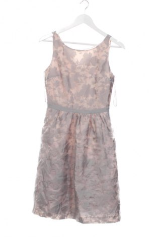 Kleid Esprit, Größe XS, Farbe Mehrfarbig, Preis € 38,99