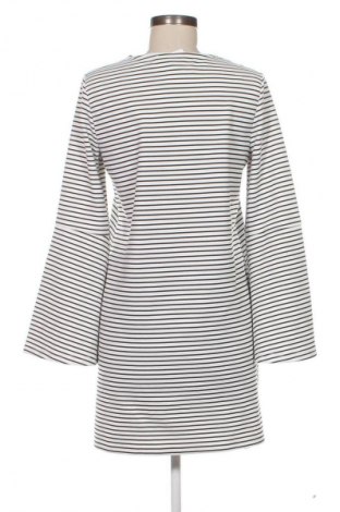 Sukienka Mango, Rozmiar M, Kolor Kolorowy, Cena 23,99 zł