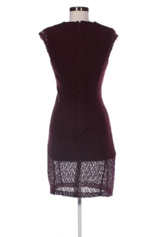 Kleid Mango, Größe S, Farbe Rot, Preis 15,99 €