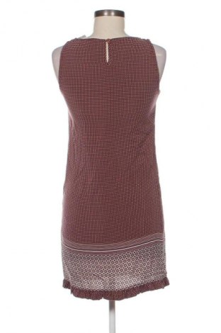 Kleid Massimo Dutti, Größe XS, Farbe Mehrfarbig, Preis 28,56 €