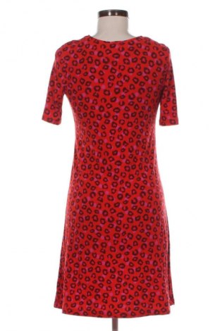 Kleid Next, Größe M, Farbe Mehrfarbig, Preis 16,99 €