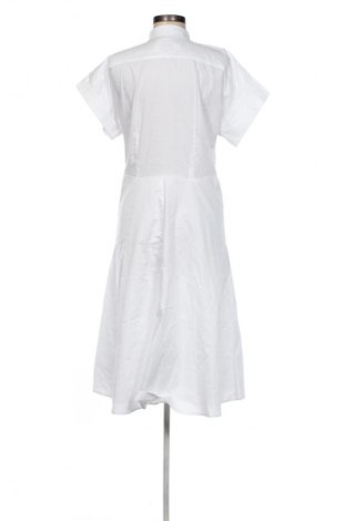 Kleid Ralph Lauren, Größe L, Farbe Weiß, Preis 149,99 €