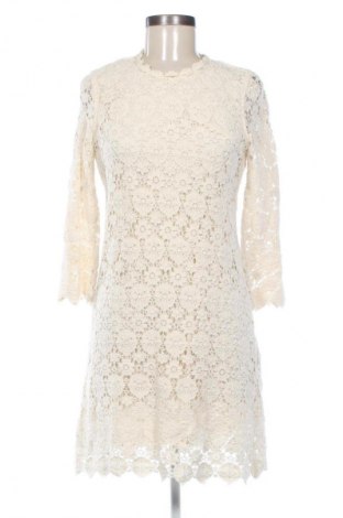 Kleid Zara, Größe M, Farbe Beige, Preis 9,77 €