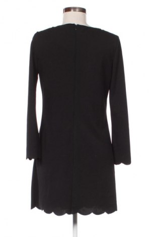 Kleid Zuiki, Größe M, Farbe Schwarz, Preis 2,99 €