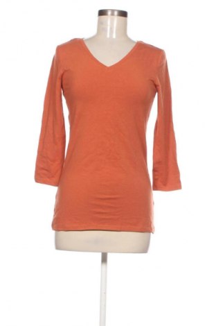 Γυναικεία μπλούζα Amazon Essentials, Μέγεθος XS, Χρώμα Πορτοκαλί, Τιμή 9,72 €