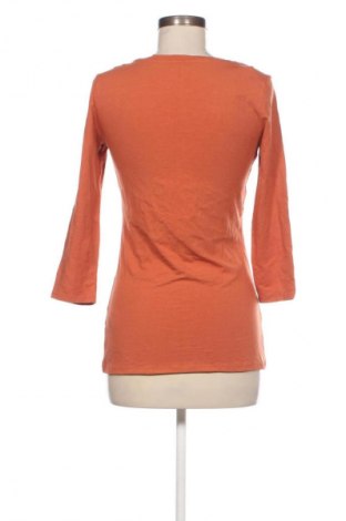 Γυναικεία μπλούζα Amazon Essentials, Μέγεθος XS, Χρώμα Πορτοκαλί, Τιμή 9,72 €