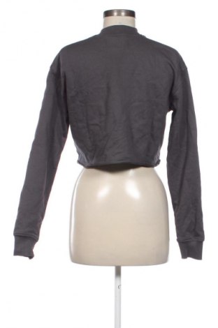 Γυναικεία μπλούζα Calvin Klein Jeans, Μέγεθος XS, Χρώμα Γκρί, Τιμή 27,99 €