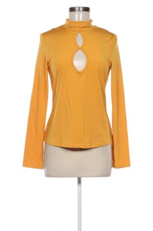 Γυναικεία μπλούζα Cider, Μέγεθος L, Χρώμα Πορτοκαλί, Τιμή 7,30 €